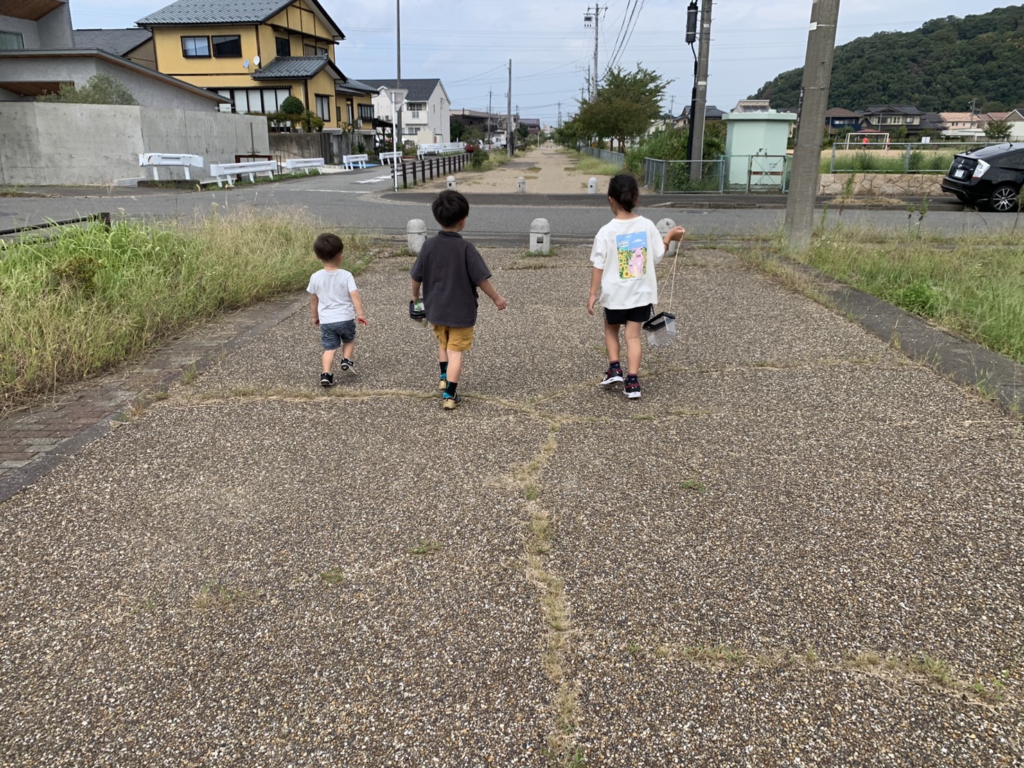 虫取り1